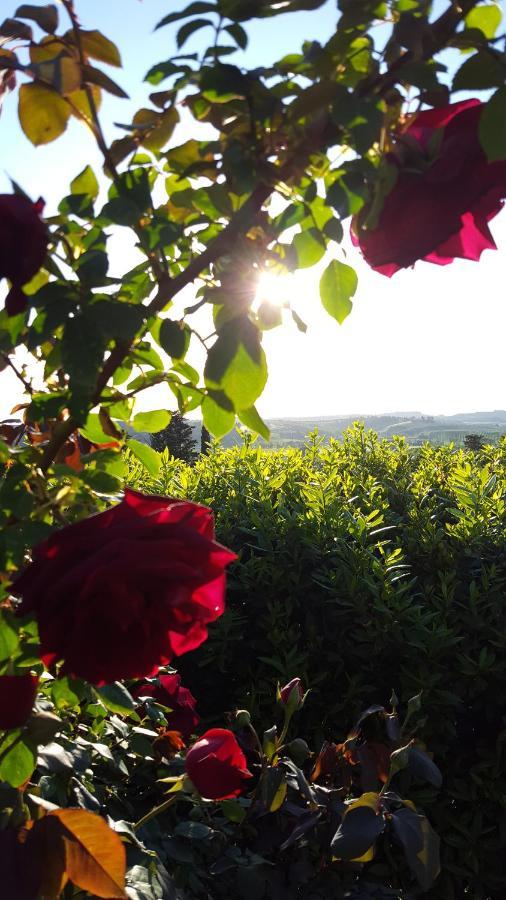 Sunset Hill - Tuscany - Villa & Private Pool Castelfiorentino Zewnętrze zdjęcie