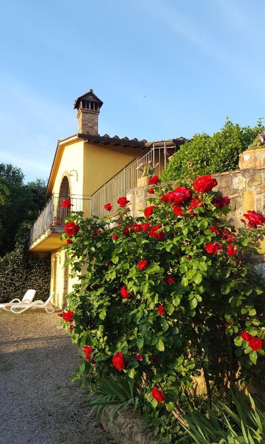Sunset Hill - Tuscany - Villa & Private Pool Castelfiorentino Zewnętrze zdjęcie