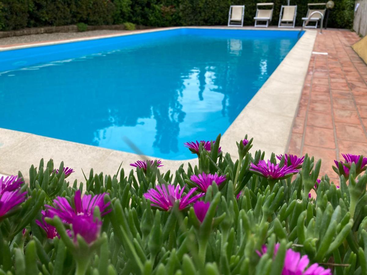 Sunset Hill - Tuscany - Villa & Private Pool Castelfiorentino Zewnętrze zdjęcie